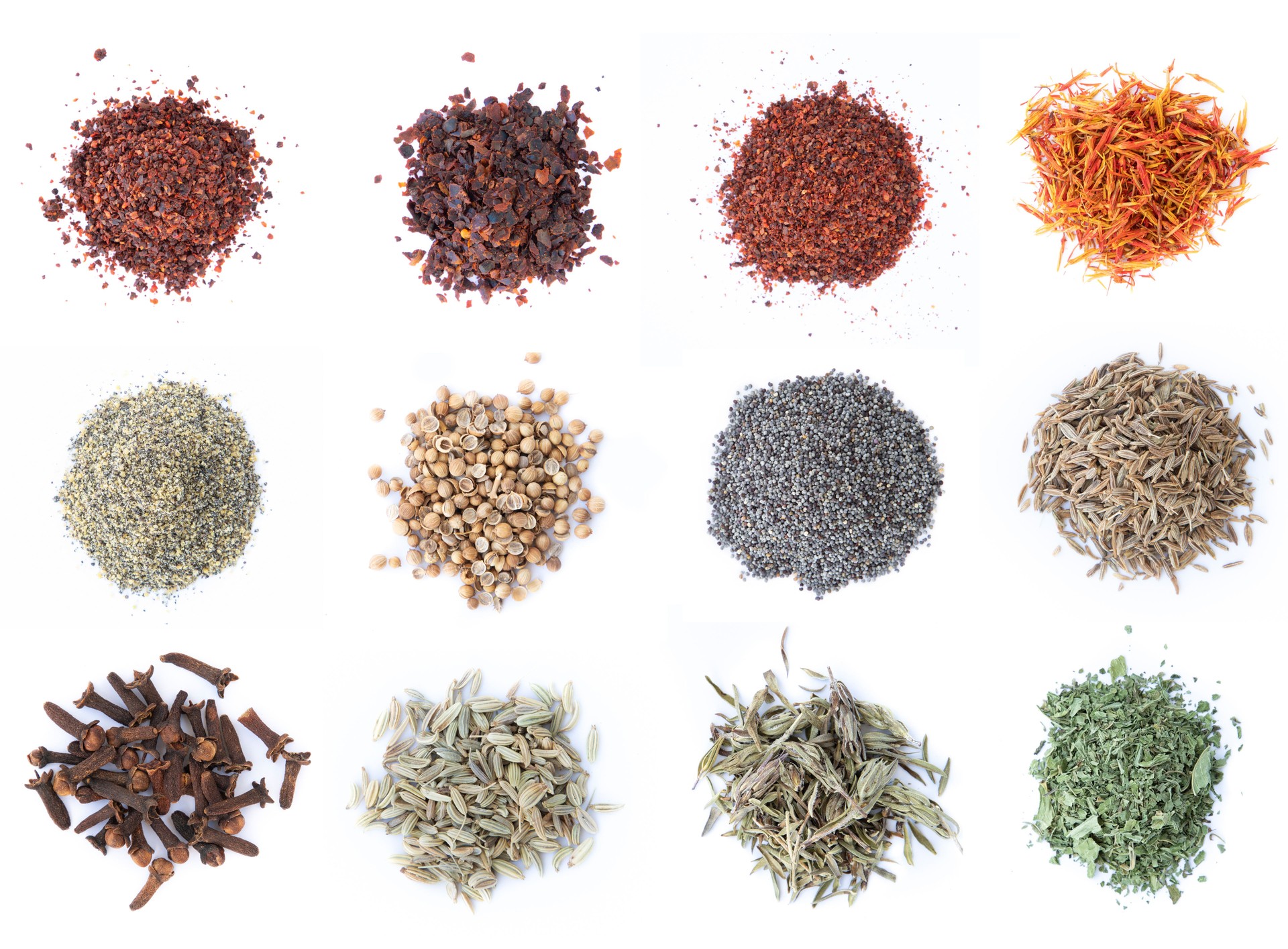 Colorful spices variety collection isolated on white background